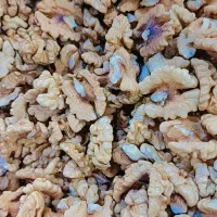 مغز گردو سنندج|خوردنی و آشامیدنی|قم, شاه ابراهیم|دیوار