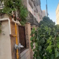 حفاظ.شاخگوزنی.نرده.دزگیر|خدمات پیشه و مهارت|شراء, |دیوار