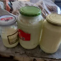 فروش کره وروغن حیوانی(گاو)|خوردنی و آشامیدنی|بلداجی, |دیوار
