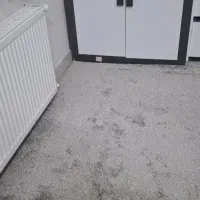 پالاز موکت نو نو