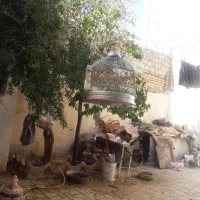 سهره خ ا ک ی