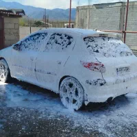 206تیپ پنج آس