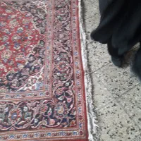 ۶ متری اردکان ریشه اصلی