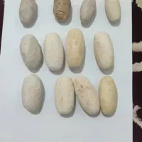 اصل تضمینی|جواهرات|پرند, فاز ۶|دیوار