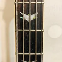 گیتار باس Schecter diamond series OMEN EXTREME-5|گیتار، بیس، امپلیفایر|تبریز, |دیوار