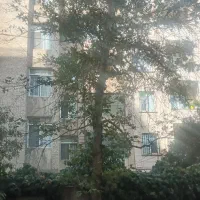 مشارکت-در-ساخت-اداری-500-متری-گاندی