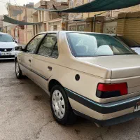 405 دوگانه رنگ بژ