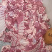 گوسفند زنده و گوشت تازه کلی و جزئی گلبهار نوبهار|حیوانات مزرعه|گلبهار, نوبهار|دیوار