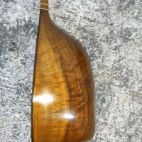 تنبور کاسه ای|سازهای سنتی|کرمانشاه, |دیوار