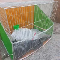 ۳ عدد قفس ۵۰۰