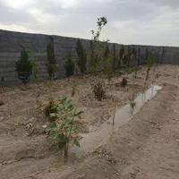 فروش زمین ۶۰۰ متری در براآن شمالی|فروش زمین و ملک کلنگی|اصفهان, براآن شمالی|دیوار