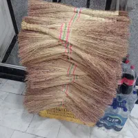 جاروی میانه عمده