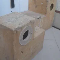 عروس دستی|پرنده|گلبهار, شهر جدید گلبهار|دیوار