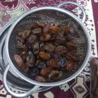 خرمابدون هسته