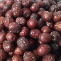 عناب|خوردنی و آشامیدنی|سربیشه, |دیوار