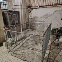 قفس حیوانات