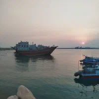 ماهی و میگو تازه نخیلو به قیمت اسکله بوشهر