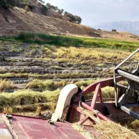 راننده کمباین هستم