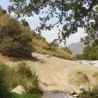 جویای کار در اکبرآباد هستم