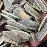 تخمه آفتاب گردان