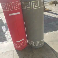 موکت پالاز و ساده|موکت|شیراز, فرگاز|دیوار