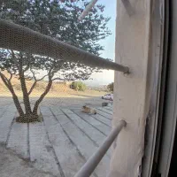 آپارتمان ۵۰ متری در محمود اباد گوهردشت|اجارهٔ کوتاه‌مدت آپارتمان و سوئیت|کرج, گوهردشت|دیوار