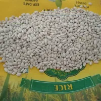 لوبیا سفید|گل و گیاه طبیعی|دینور, |دیوار