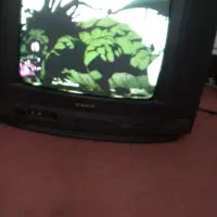 تلویزیون 14اینج|تلویزیون و پروژکتور|خرمشهر, |دیوار