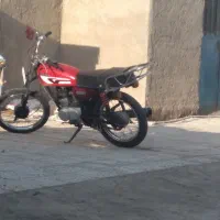 کفتر|پرنده|کرباسک, |دیوار