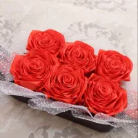 انواع گل روبانی|گل مصنوعی|بروجرد, |دیوار