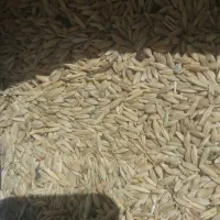 حدود500کیلوجودیم
