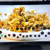 السی دی 40 سونی اصل مالزی بدون تعمیر