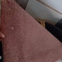 موکت درحدپالاز موکت