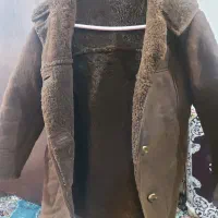 پالتو