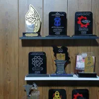استخدام نیروی کار