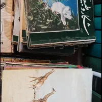 مجلات شکار و طبیعت .|مجلات|شهریار, شهریار|دیوار