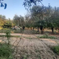 استخدام کارگر کشاورزی
