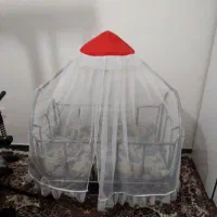 گهواره|تخت و صندلی بچه|کنگاور, |دیوار