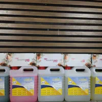 پک اقتصادی شوینده