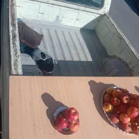 وانت ۸۵|خودرو سواری و وانت|تهران, شهید رجایی|دیوار