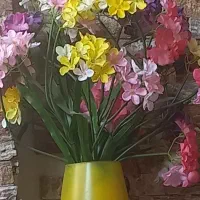 گل شکوفه بهاری