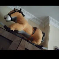 وسایل کودک|اسباب و اثاث بچه|نوشهر, |دیوار