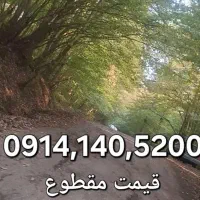 شماره دائمی قدیمی بسیار  رند ۱۴۰