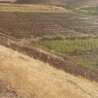چاه کن