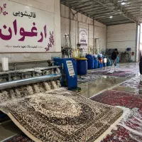 قالیشویی ارغوان