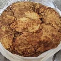 برگ|گل و گیاه طبیعی|کاکی, |دیوار