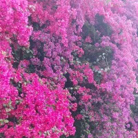 راهنمایی سفر به بندرعباس