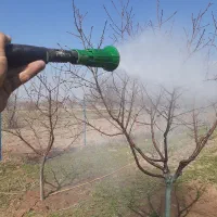 هرس وچوب بری سم پاشی