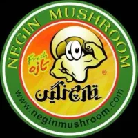 قارچ چین خانم