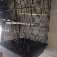قفس بزرگ|لوازم جانبی حیوانات|اهواز, کوی رمضان|دیوار